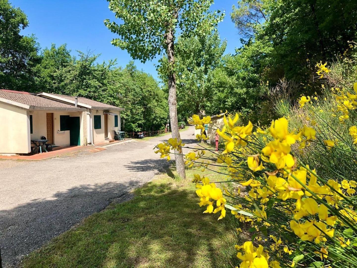 Camping Village Mugello Verde 산 피에로 아 시에베 외부 사진