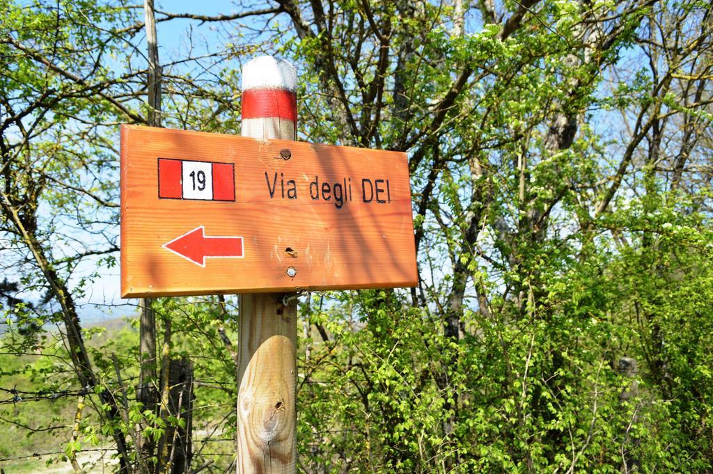Camping Village Mugello Verde 산 피에로 아 시에베 외부 사진